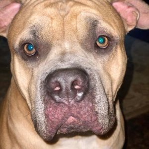 Meet your Posher, Keila